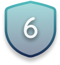 Badge 6